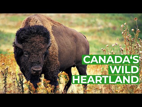 Wild Canada: The Heartland