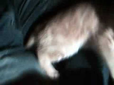 Duncan & Nyssa's Relationship: Exhibit B