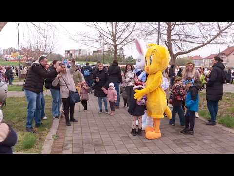 Info - Lazareva subota, praznik dece (TV KCN 04.04.2026)