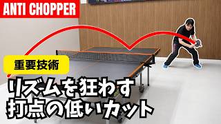 【東京オープンJr優勝】アンチカットマン必須技術！リズムを変える打点を落としたカットのコツ｜中島彩希コーチ MI青春卓球CLUB[調布市]【卓球知恵袋】