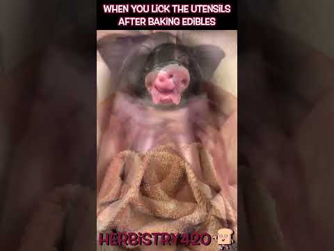 Licking Spoon After Edibles – Who Else Does This?