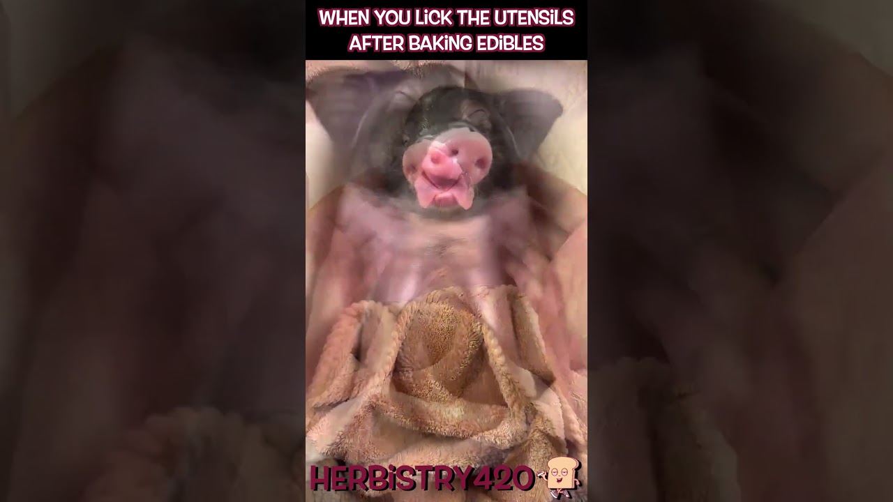 Licking Spoon After Edibles – Who Else Does This?