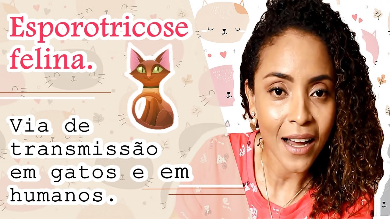 #ESPOROTRICOSE #FELINA. VIA DE TRANSMISSÃO EM GATOS E EM HUMANOS.