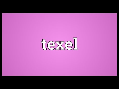 Texel Meaning