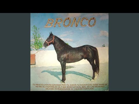 Video thumbnail for Tu Prieto