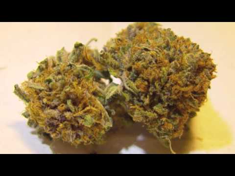 G-FERRY - Smokin on Da Kush ft. Pusha Man Money & BIG PEEZY