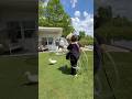 GATOR ATTACKED MY HOT BUBBLE