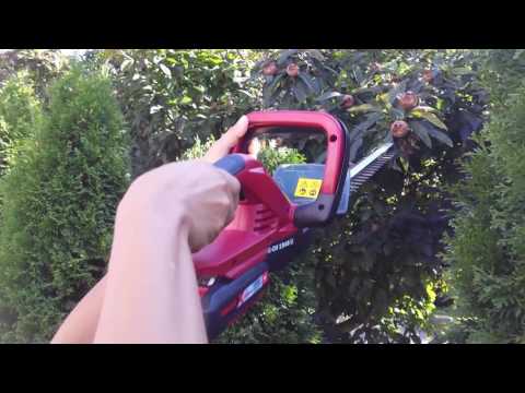 Thuja-Hecke schneiden mit der Einhell GE-CH 1846 Li