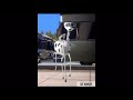 Open Seasons Giselle The Dalmatian