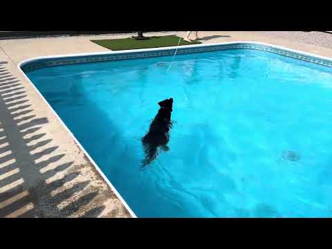 Deep Water Swim Time With "Dazzle" The Fish