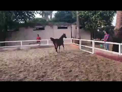 مرمر نور  كنز نور & نقش القلوب نور