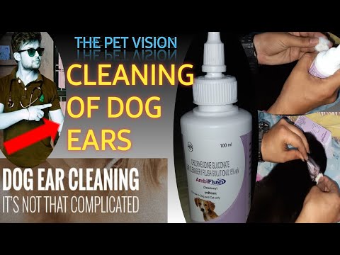 Fatsup 200 ML Liquid