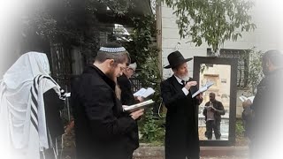 דיני ברכת האילנות @rabi_erez_malka