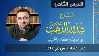 صورة الدرس الثامن من شرح شذور الذهب - أنس عزت آغا