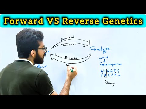 Forward vs Reverse genetics | Key difference between Reverse and Forward Genetics