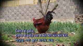 De Colores(다채로움)(스페인) - Nana Mouskouri (스페인어, 한글자막 Spanish &amp; Korean captions)