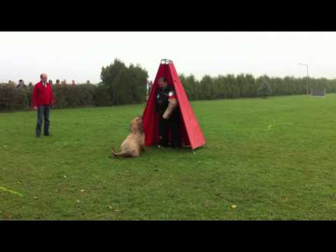 CMBF 2013 - Jack Sparrow Moravia Campanella