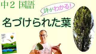 助け合い 生命は 中学 高校国語 教科書 詩 解説 テスト対策 課題作成に 吉野弘 第一学習社 東京書籍 中学国語 現代文a أفضل موقع لتشغيل ملفات Mp3 مجان ا