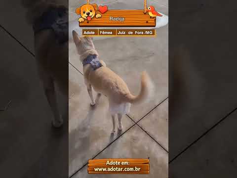 Vídeo de Radija 