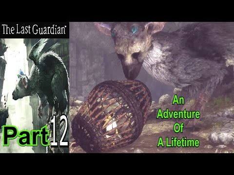 An Adventure Of A Lifetime | The Last Guardian | Part 12 | Gameplay | Live Commentary