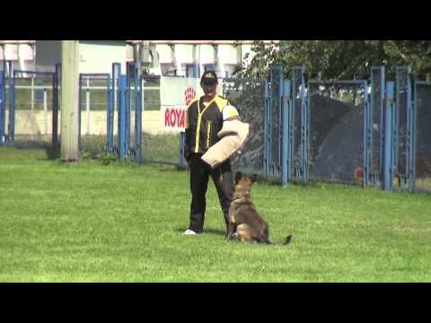 Rampage IPO1 C Dnepr CACT