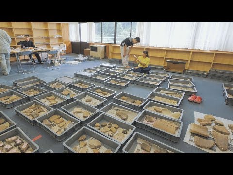 武道学科 【国士舘大学】大学案内WEB版　国指定史跡をいくつも発掘。学生による本気の発掘調査。【考古学実習】