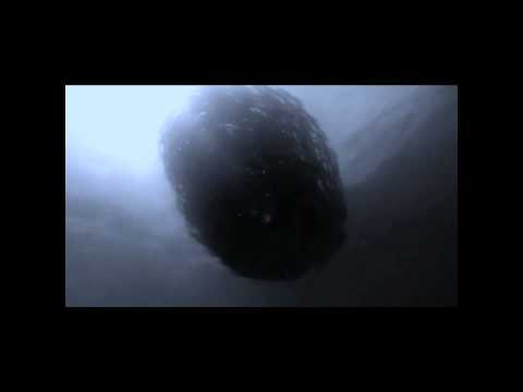 Videoclip de Give Up The Ghost — Radiohead