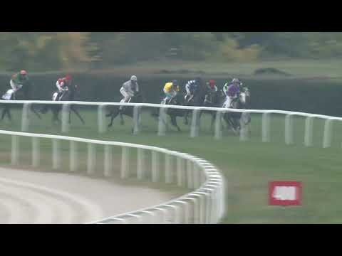 2020.10.25. 04. futam - NYERETLEN KÉTÉVESEK VERSENYE (IV.kat.) II.rész