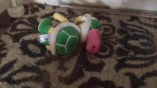 Pig nose guys back story 1979