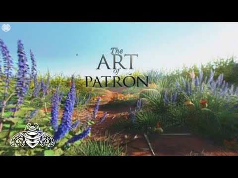 The Patrón Oculus Virtual Reality Experience (360")