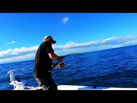 Vertical Jigging Reef Donkeys