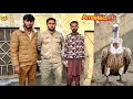 WILD LIFE POLICE ‍ ️ NY HAMAY PAKER LIYA