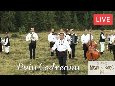 Puiu Codreanu - Live - Hanul Moara cu Noroc