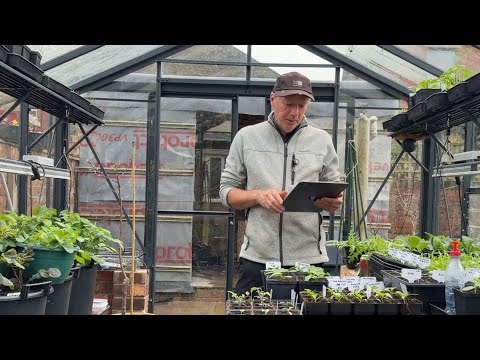 March Planting Guide: What to Sow & Grow Now