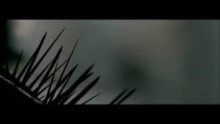 Splinter (2008) Video