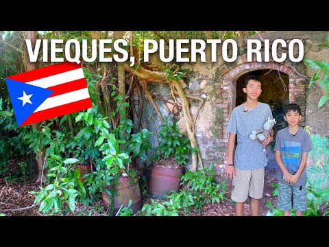Top 5 Must Do's on Vieques Island Puerto Rico Travel Tips 2024 (Know Before You Go) 🇵🇷
