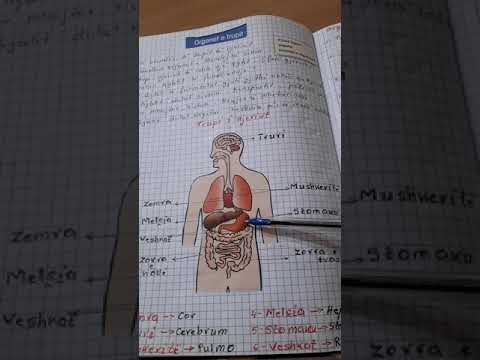 Organet e trupit te njeriut. Biologji kl6