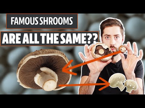 You'll Never Look at Button Mushrooms the Same Way Again