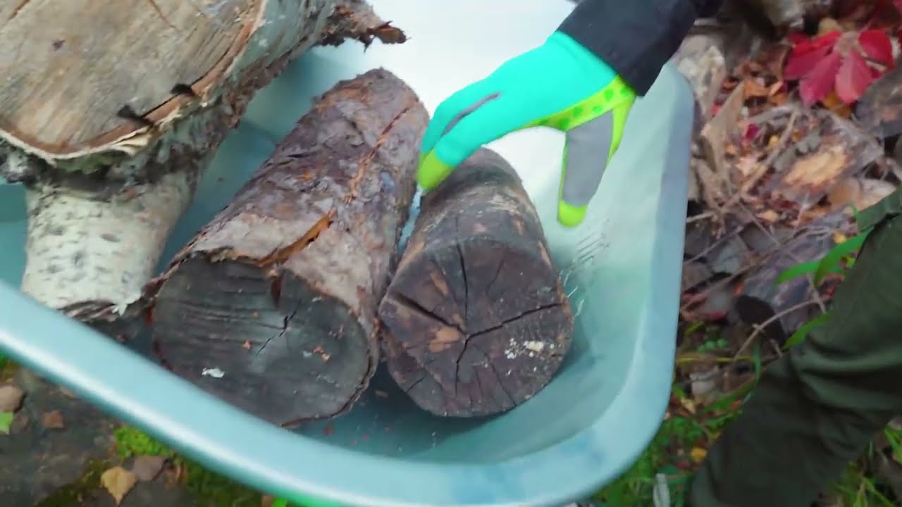 Видео-превью