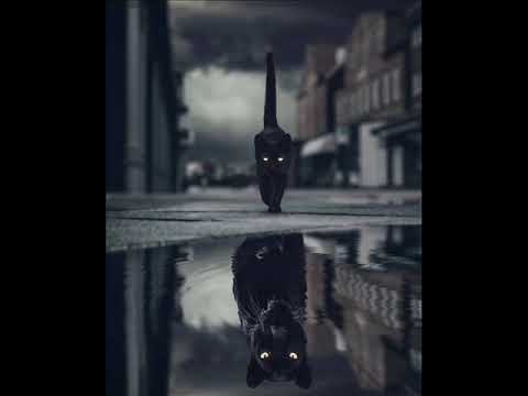 GANER - TANTO TIEMPO (PROD. D'VERSUS)