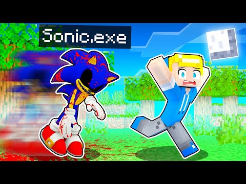 Chi Cerca È SONIC.EXE Nel NASCONDINO Su Minecraft ITA!!