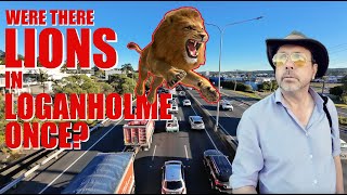 Were There Lions in Loganholme Once?