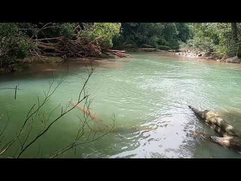 rio diamante en baru de perez zeledon costa rica