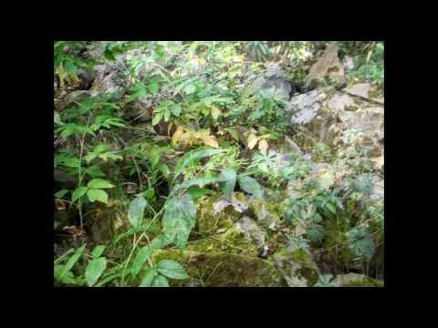 Tusnad Bai  atunci si acum /jurnal de vacanta  august 2013 Coina Tudose/PromoVizitati statiunea