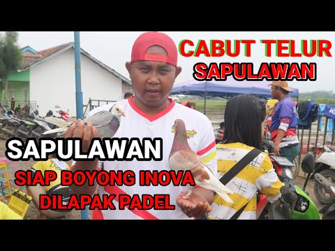 SAPULAWAN EGG PLUG READY TO CARRY INOVA CAR DIPADEL//MERPATI KOLONG//MERPATI LOVERS//NEW ROBBERY