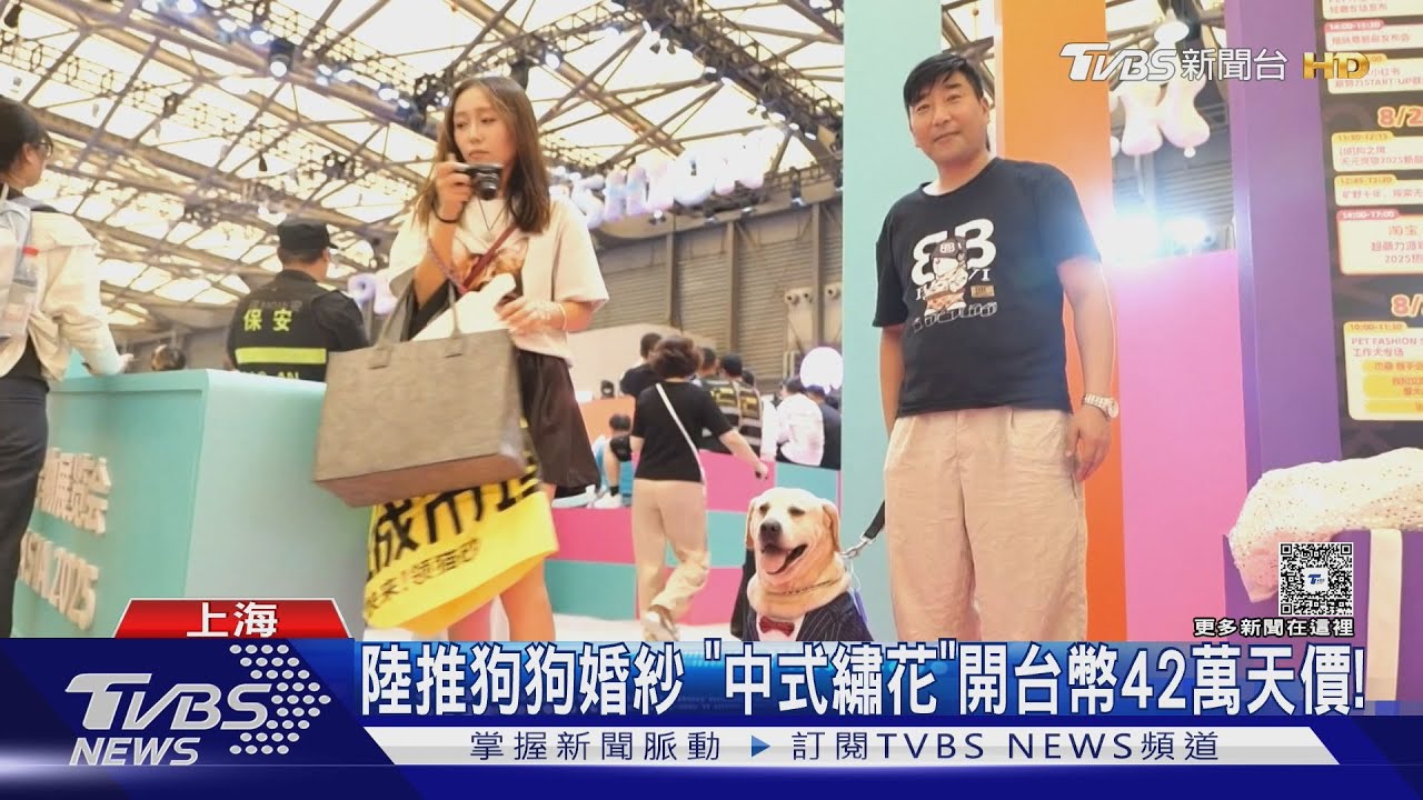 陸掀「育兒式」養寵 42萬狗狗婚紗超奢華!