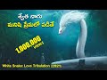 White Snake Love Tribulation 2021