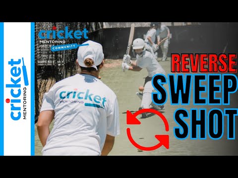 TIPS TO PLAY THE REVERSE SWEEP SHOT FROM AUSTRALIAN CRICKET PLAYER | NICOLE BOLTON
