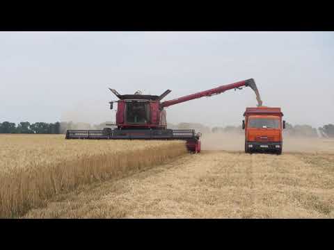 2020.07.08. Case 7240, hvedehøst Myronivka Ukraine