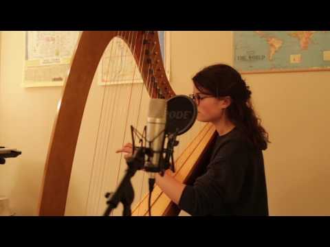 Them Changes by Thundercat (Harp Cover)